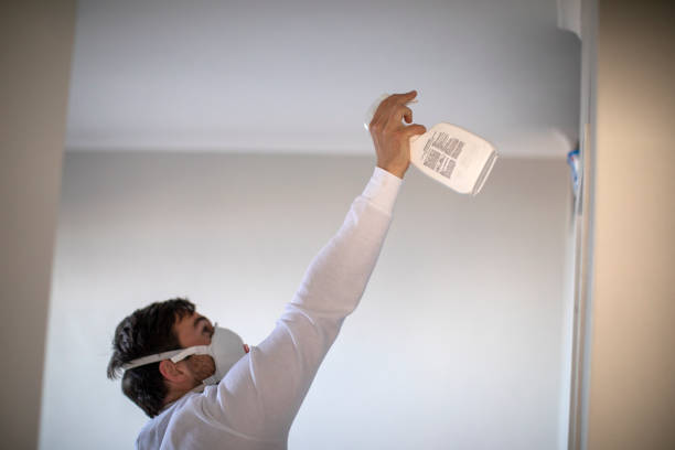 Best Fast Mold Removal  in Tanglewilde, WA